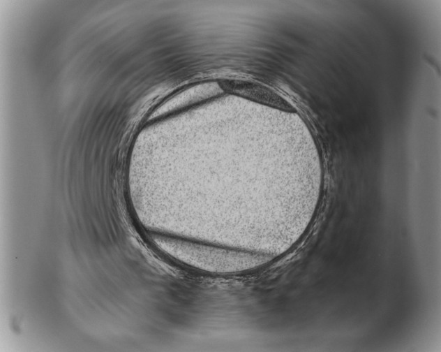 X0000102400193200808221855