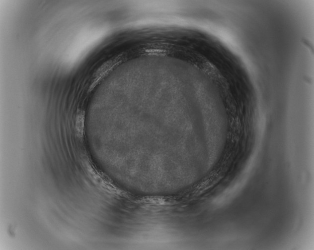 X0000102400194200808221855