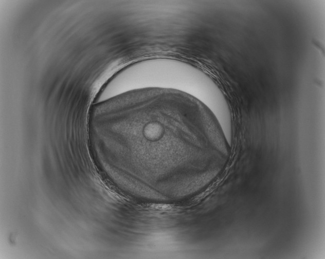 X0000102400195200808221855