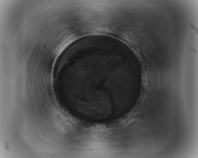 X0000102400196200808221855