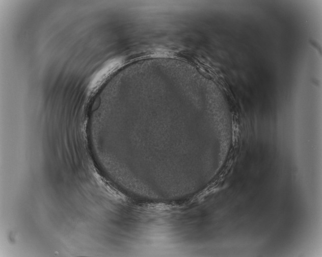 X0000102400197200808221855