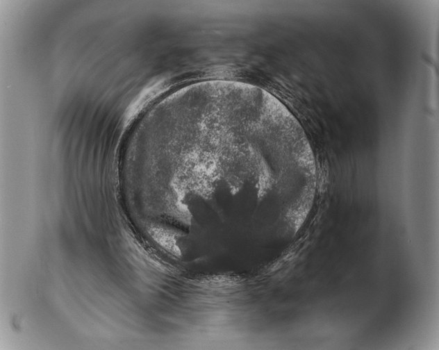 X0000102400198200808221855