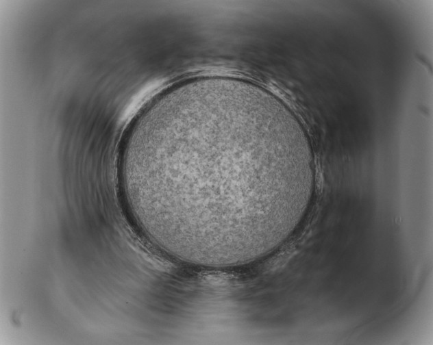 X0000102400199200808221855