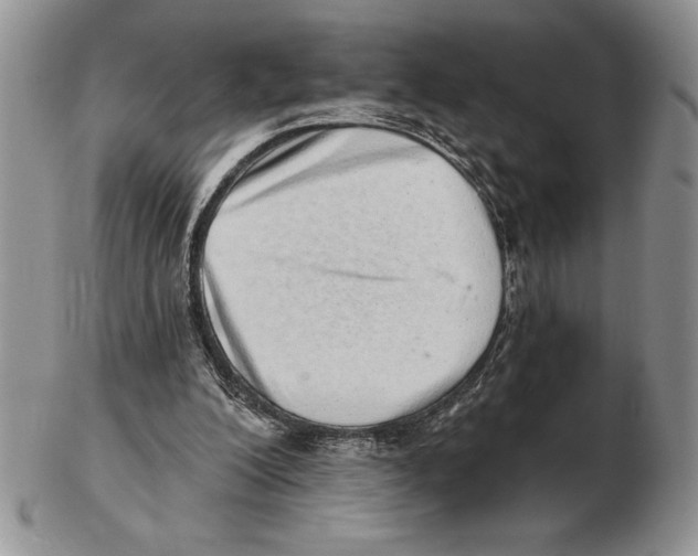 X0000102400200200808221855