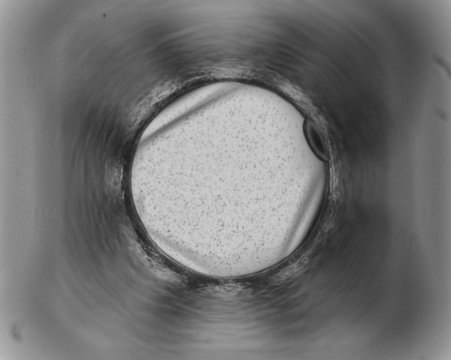 X0000102400201200808221855