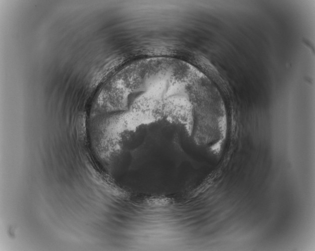 X0000102400202200808221855