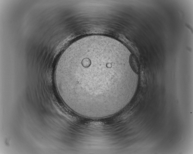 X0000102400203200808221855