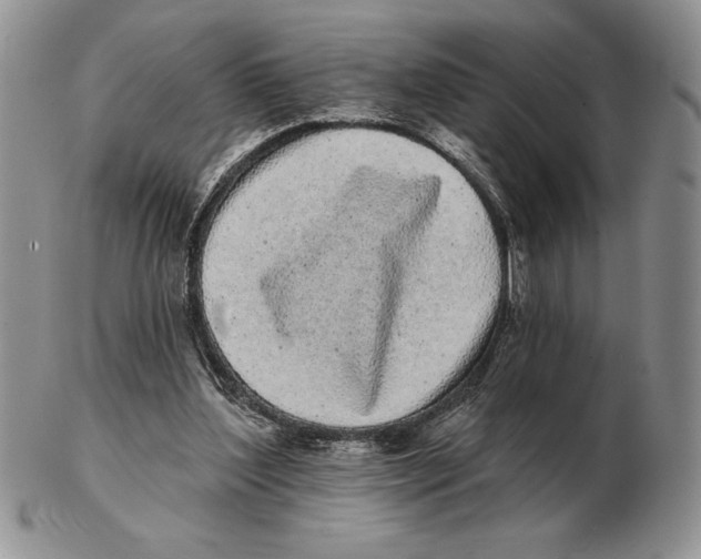 X0000102400204200808221855