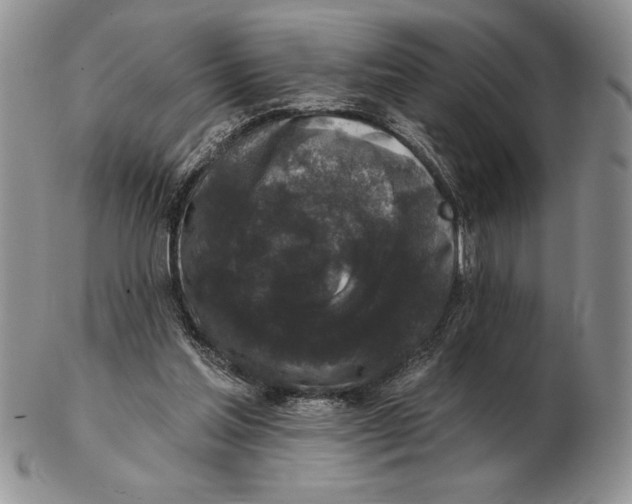 X0000102400205200808221855