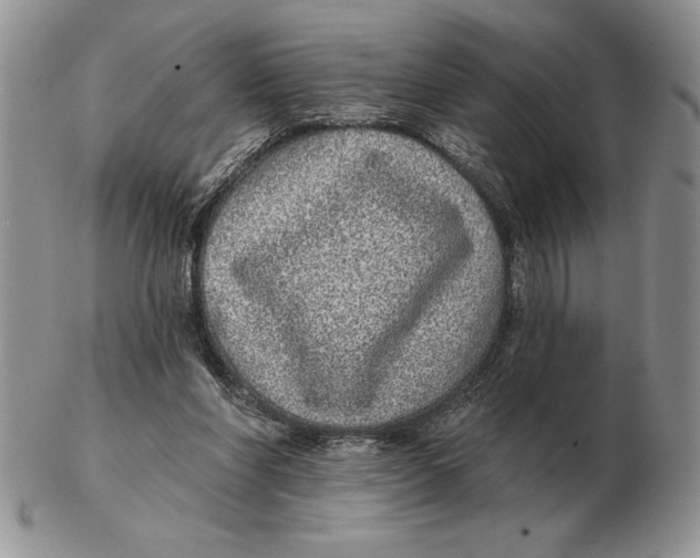 X0000102400206200808221855