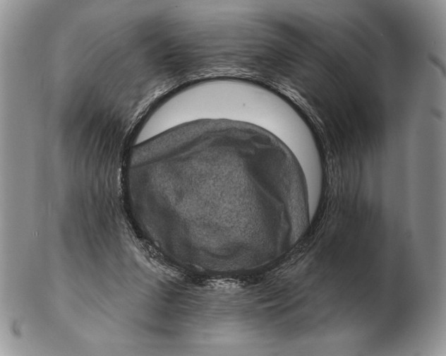 X0000102400207200808221855