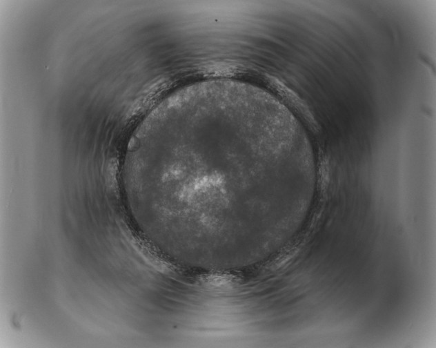 X0000102400209200808221855