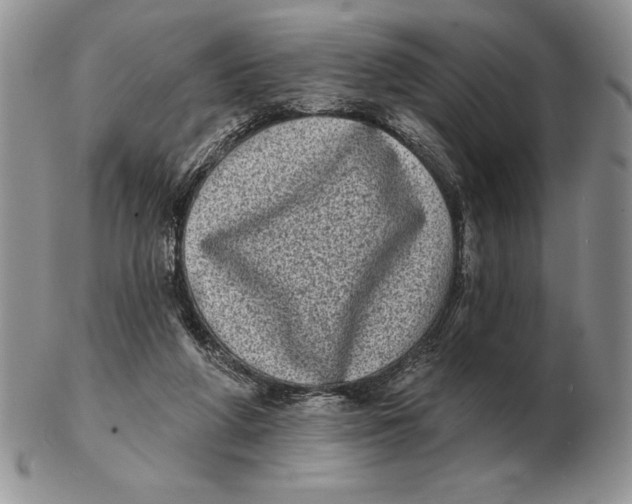 X0000102400210200808221855