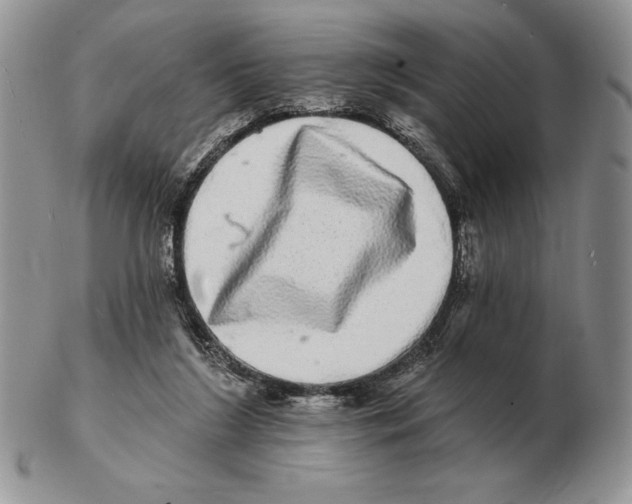 X0000102400212200808221855