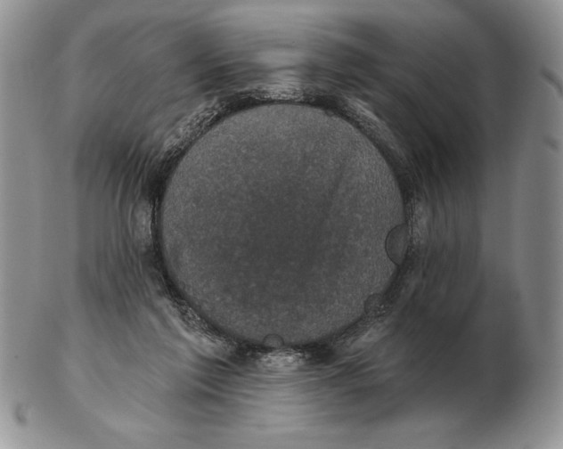 X0000102400213200808221855