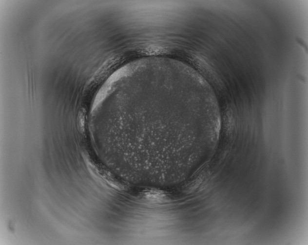 X0000102400214200808221855