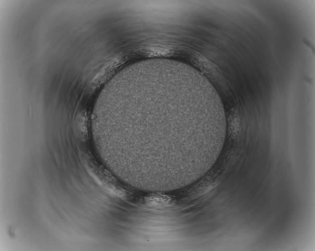 X0000102400215200808221855