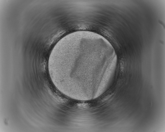 X0000102400216200808221855