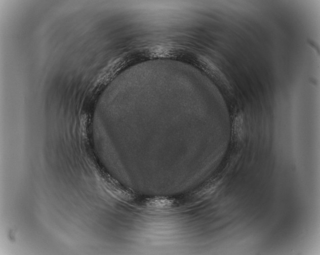 X0000102400217200808221855