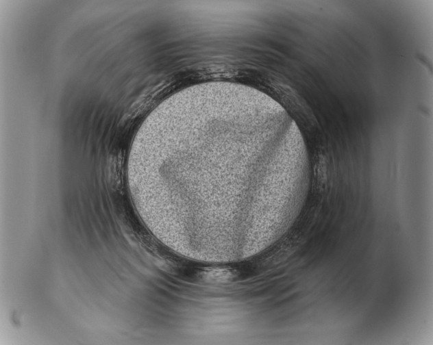 X0000102400218200808221855