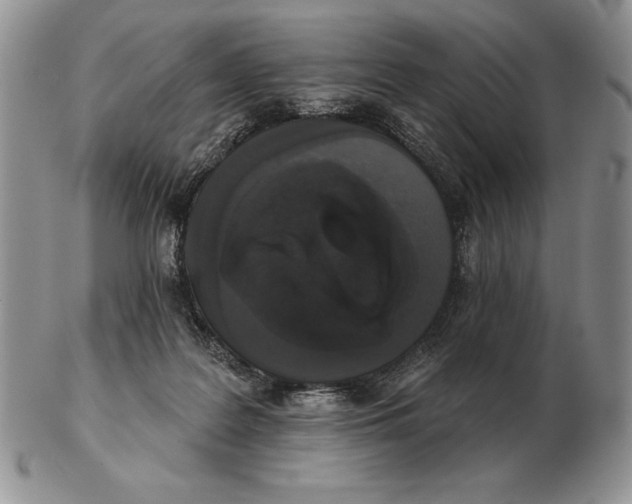 X0000102400219200808221855