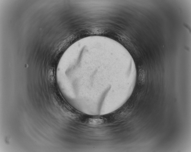 X0000102400220200808221855