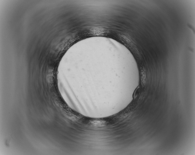 X0000102400221200808221855