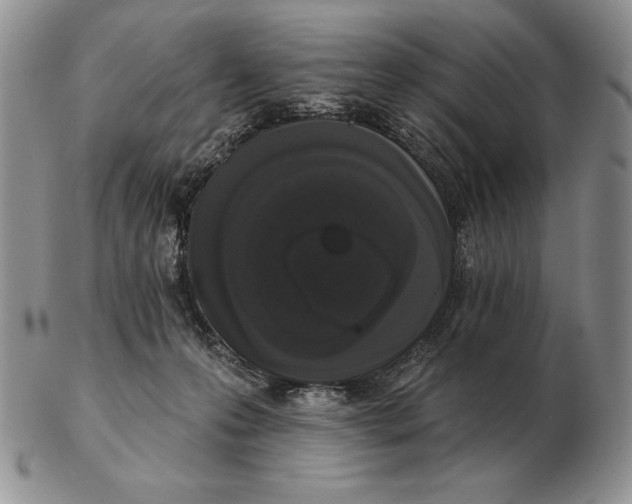 X0000102400223200808221855