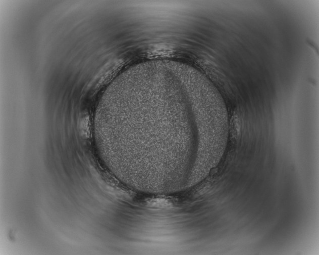 X0000102400224200808221855