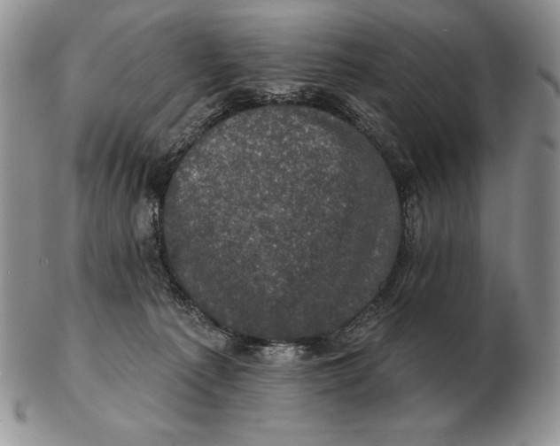 X0000102400225200808221855