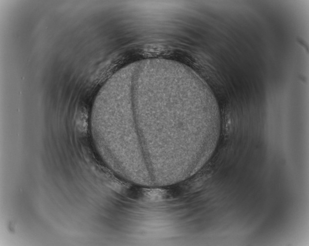 X0000102400226200808221855