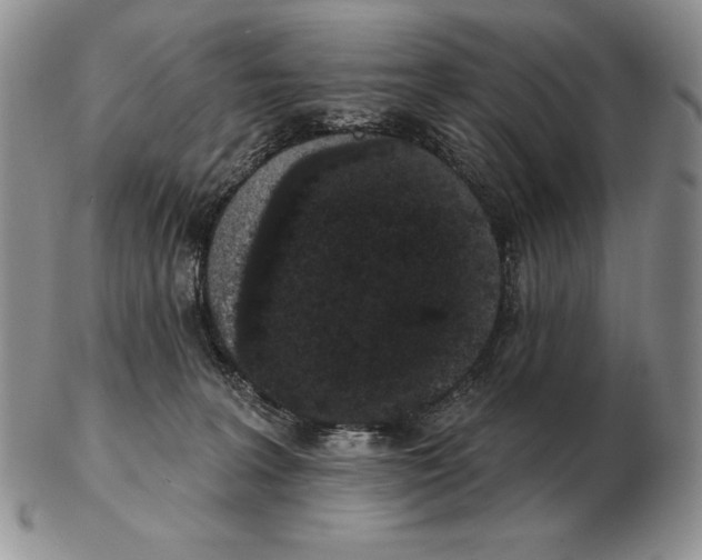 X0000102400227200808221855