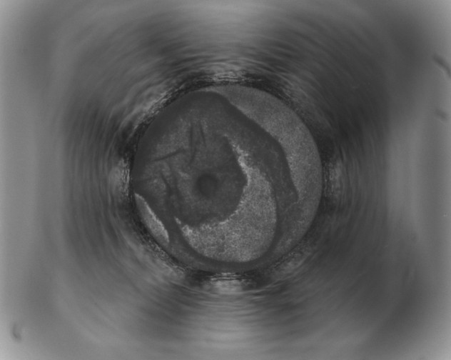 X0000102400228200808221855