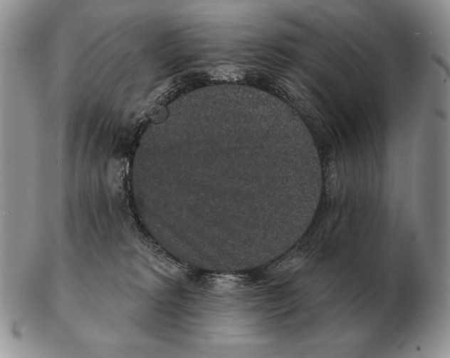 X0000102400229200808221855