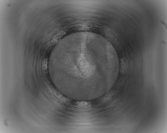 X0000102400230200808221855