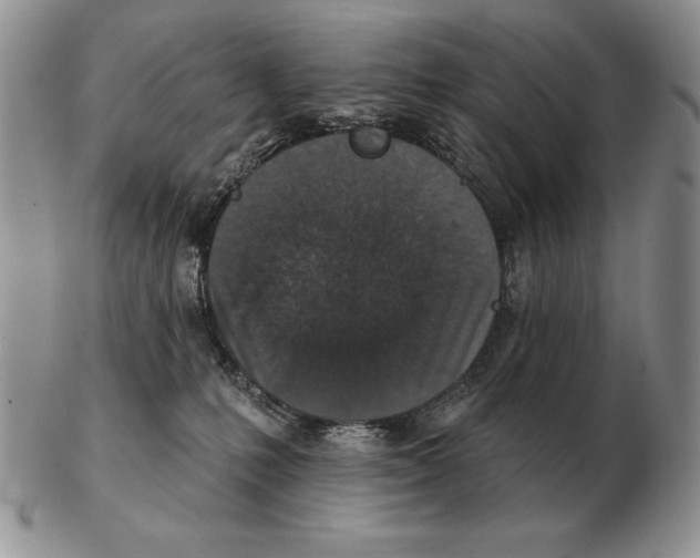 X0000102400231200808221855