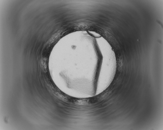 X0000102400232200808221855