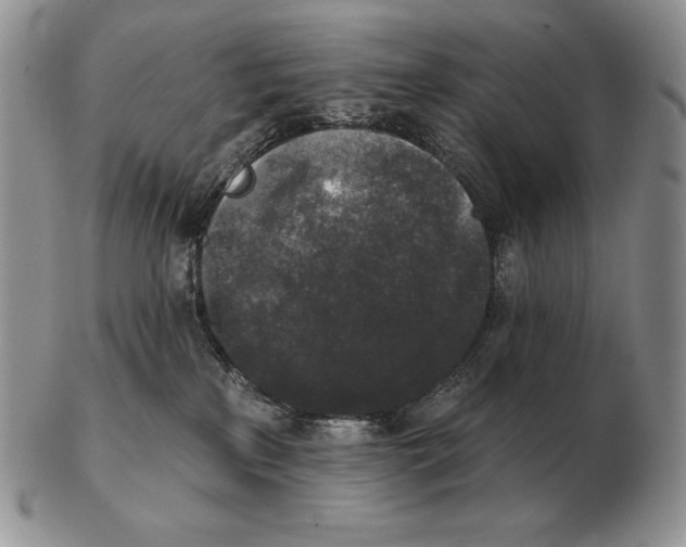 X0000102400233200808221855