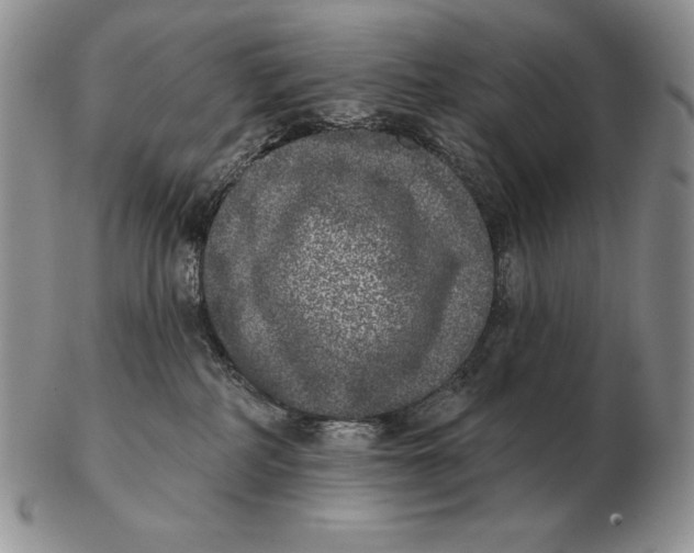 X0000102400234200808221855