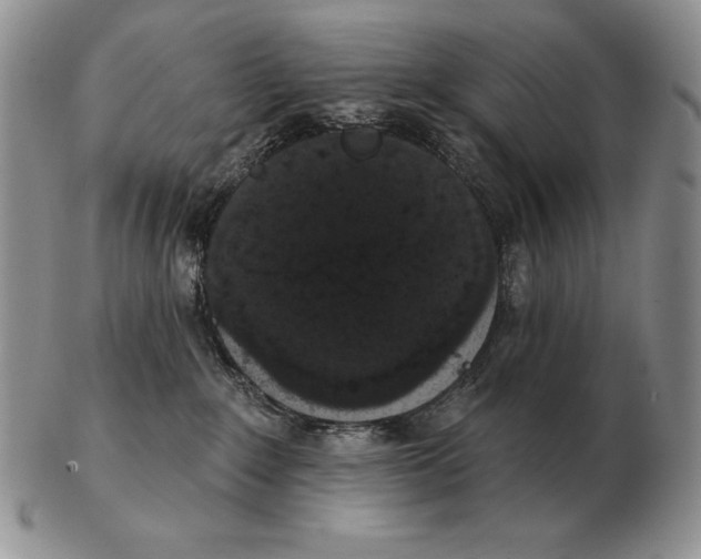 X0000102400235200808221855