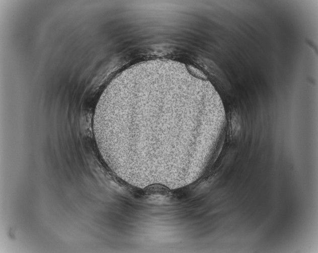 X0000102400236200808221855