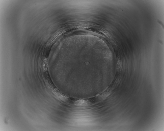 X0000102400237200808221855