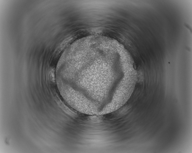 X0000102400238200808221855