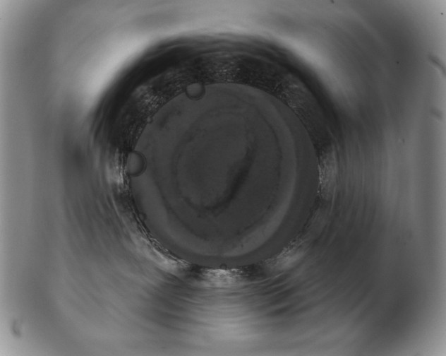 X0000102400239200808221855