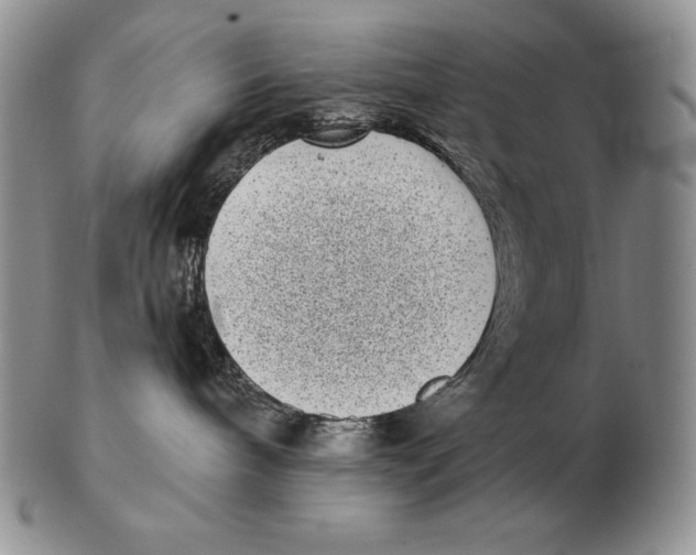 X0000102400240200808221855