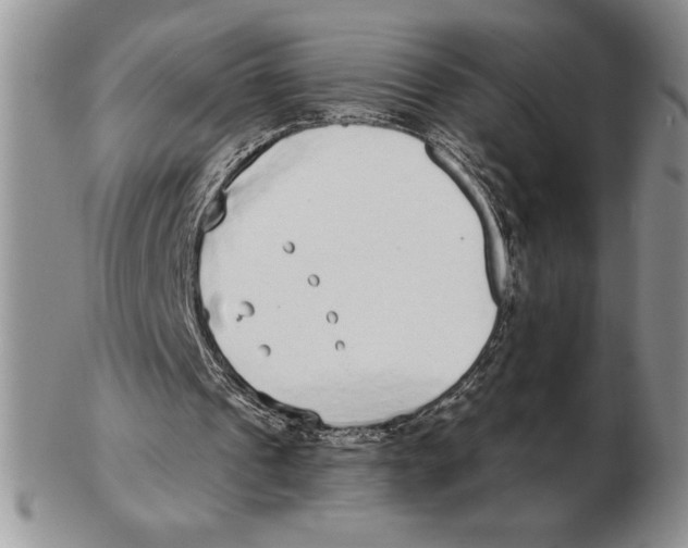 X0000102400241200808221854