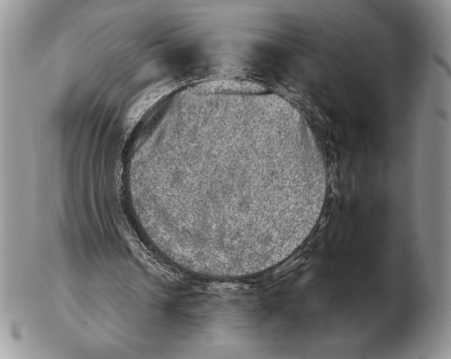 X0000102400242200808221854