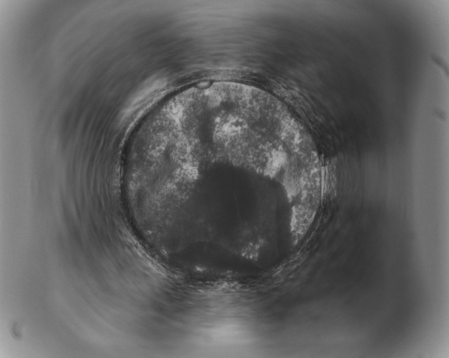 X0000102400243200808221854