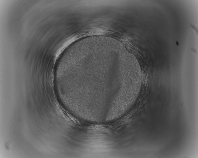X0000102400244200808221854