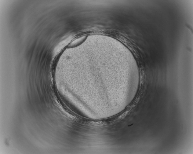 X0000102400245200808221854